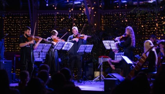 HighTime Orchestra. Симфония Гарри Поттер