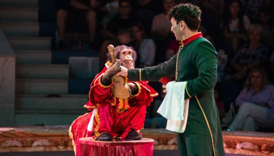 Цирк в гостях у сказки