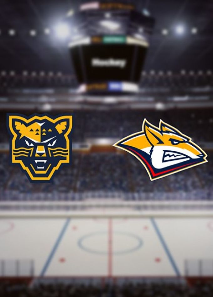 КХЛ. ХК «Сочи» — ХК «Металлург Мг»