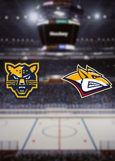 КХЛ. ХК «Сочи» — ХК «Металлург Мг»