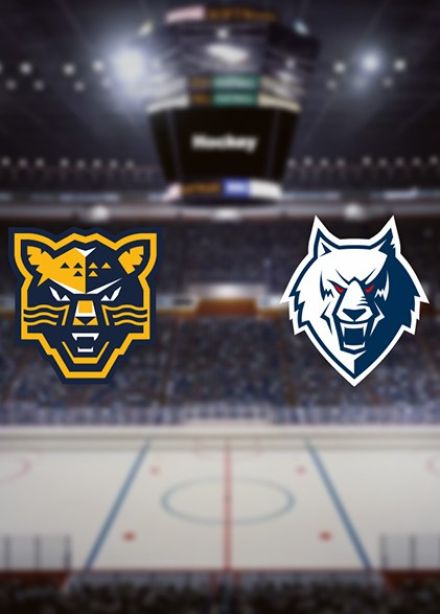 КХЛ. ХК «Сочи» — ХК «Нефтехимик»