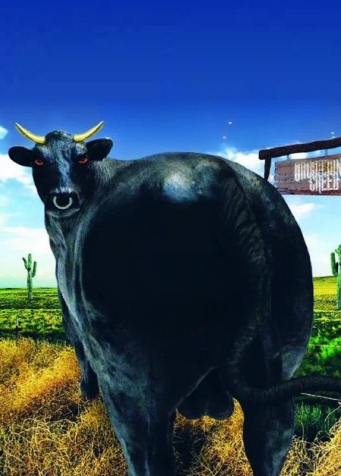 School’s Out, Адлер