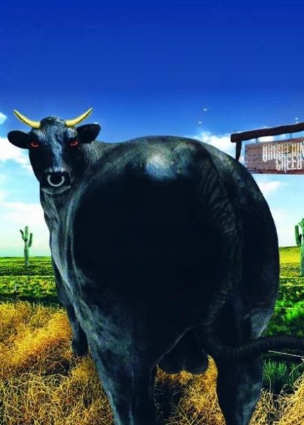 School’s Out, Адлер