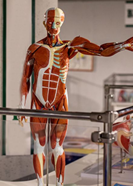 Внутри человека