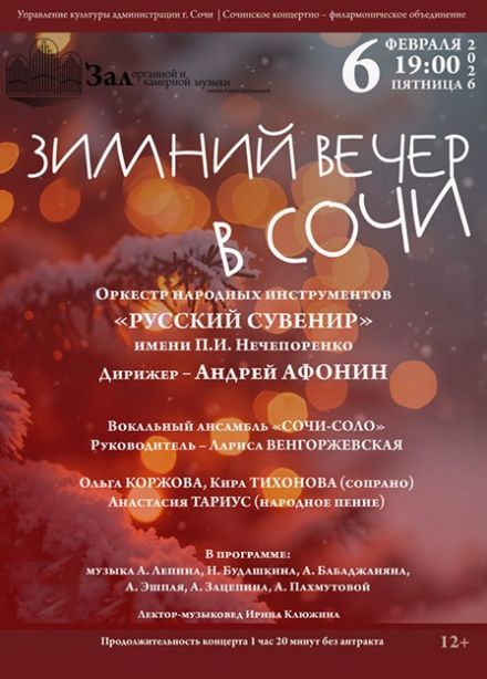 Концерт «Зимний вечер в Сочи»