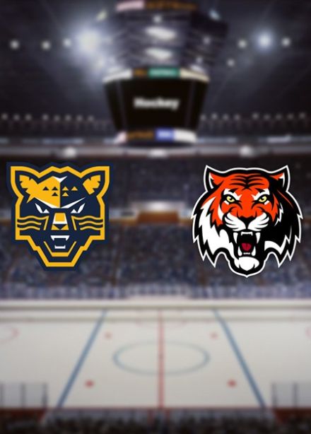 КХЛ. ХК «Сочи» — ХК «Амур»