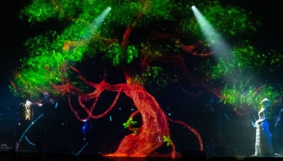 Евгения Зима. Вивальди. Любовь и смерть в Венеции