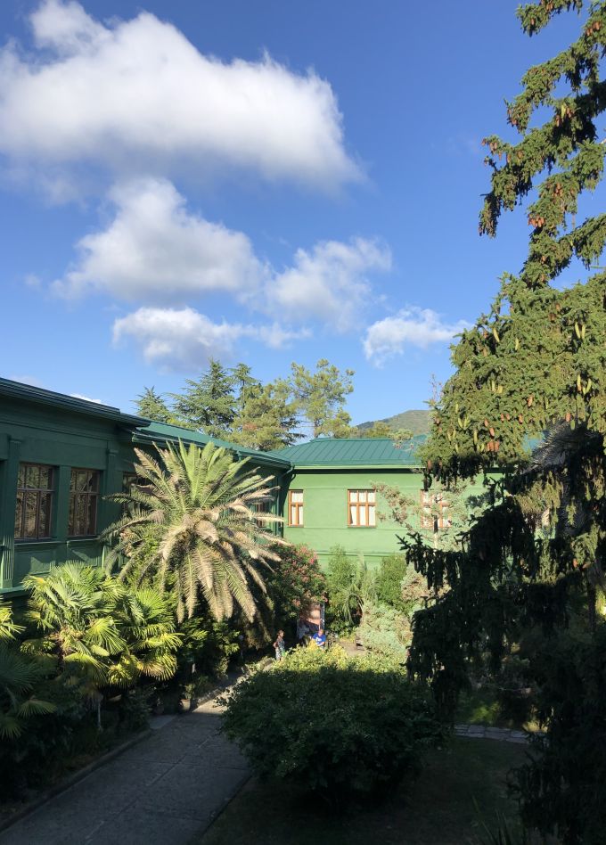 Обзорная по Сочи: история и природа