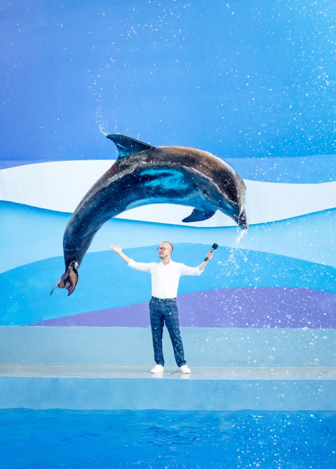 Шоу дельфинов