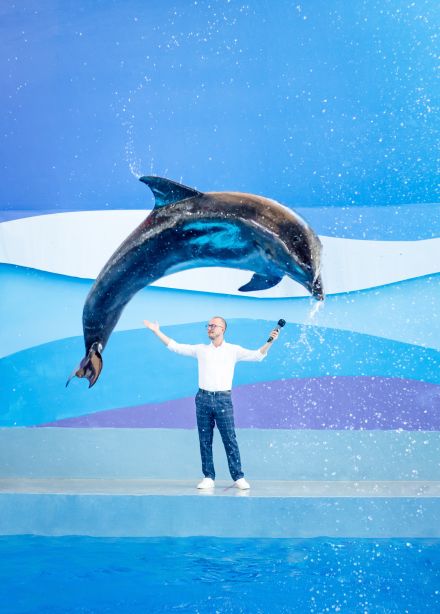 Шоу дельфинов