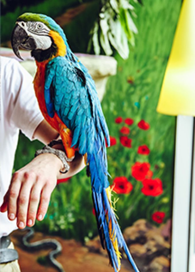 Зоопарк Рио