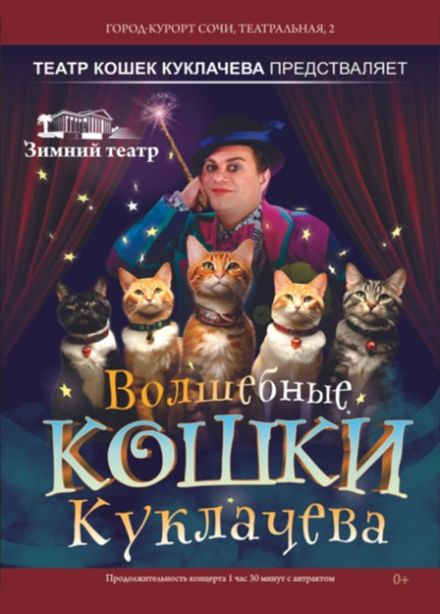 Владимир Куклачёв. Волшебные кошки